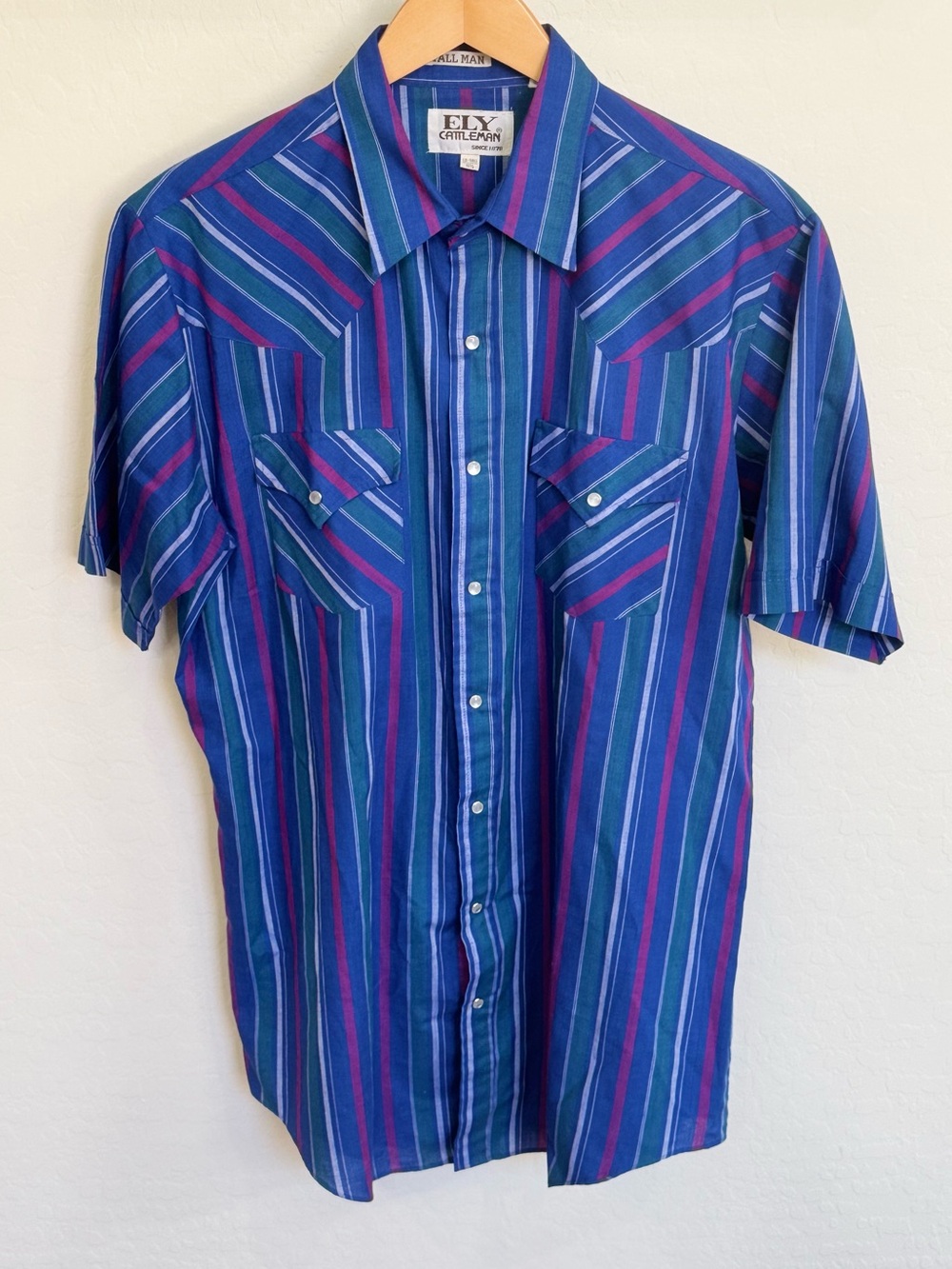 Vintage Ely Cattleman Striped Pearl Snap Western Shirt Blue/Maroon LG Tall Boho